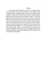 Referāts 'Uzņēmumu konkurējošās vērtības', 3.