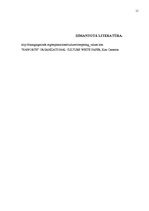 Referāts 'Uzņēmumu konkurējošās vērtības', 11.