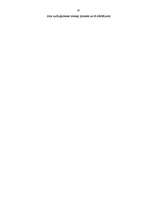 Referāts 'Audžu ģimenes statuss un tā piešķiršana', 19.