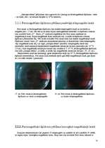 Referāts 'Feromagnētisko šķidrumu atmiņas īpašības pētīšana', 14.