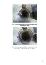 Referāts 'Feromagnētisko šķidrumu atmiņas īpašības pētīšana', 17.