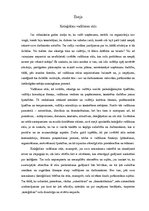 Eseja 'Koleģiālais vadīšanas stils', 1.