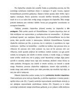 Referāts 'Referāts krimināltiesībās', 6.