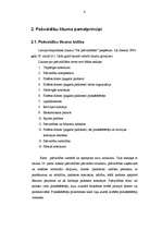 Referāts 'Pašvaldību vispārējais raksturojums', 6.