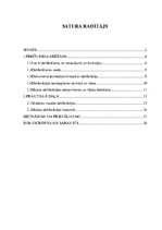 Referāts 'Muitas preču deklarēšana Latvijas Republikā', 1.