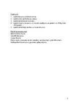 Referāts 'Muitas preču deklarēšana Latvijas Republikā', 3.