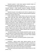 Referāts 'Uzņēmuma kapitāla aprites process', 5.