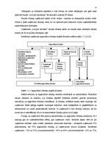 Referāts 'Uzņēmuma kapitāla aprites process', 10.