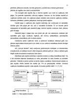 Referāts 'Uzņēmuma kapitāla aprites process', 12.