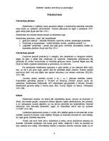 Referāts 'Jaunie tūrisma veidi: gastronomiskais, sekstūrisms, iepirkšanās tūrisms', 6.