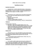 Referāts 'Jaunie tūrisma veidi: gastronomiskais, sekstūrisms, iepirkšanās tūrisms', 9.