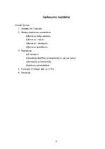 Referāts 'Formas', 4.