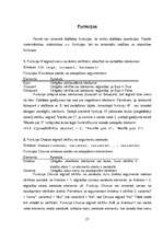 Referāts 'Formas', 21.