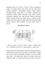 Prakses atskaite 'Kvalifikācijas prakses projekts jūrniecībā', 54.