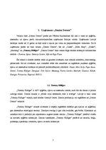 Referāts 'Reklāmas kampaņa veikalam "Tommy Hilfiger"', 3.