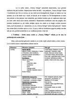 Referāts 'Reklāmas kampaņa veikalam "Tommy Hilfiger"', 22.