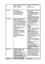 Referāts 'Reklāmas kampaņa veikalam "Tommy Hilfiger"', 23.