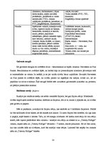 Referāts 'Reklāmas kampaņa veikalam "Tommy Hilfiger"', 24.