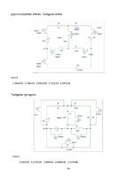 Referāts 'Elektrotehnikas teorētiskie materiāli', 33.