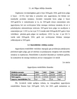 Referāts 'Peļņa un tās rādītāji', 19.