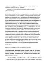 Konspekts 'Sabiedriskās attiecības', 2.