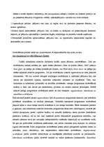 Konspekts 'Sabiedriskās attiecības', 3.