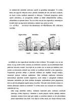 Konspekts 'Sabiedriskās attiecības', 8.