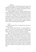 Referāts 'SIA "Grandeg" komunikācijas audits', 4.