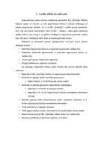 Referāts 'SIA "Grandeg" komunikācijas audits', 7.