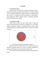 Referāts 'SIA "Grandeg" komunikācijas audits', 13.