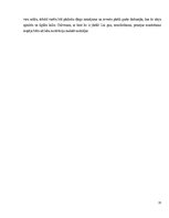 Referāts 'Latvijas pensiju sistēmas attīstības analīze', 32.