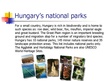 Prezentācija 'Hungary', 4.