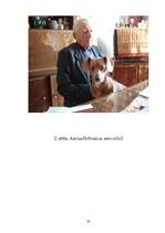 Referāts 'Antona Gribusta dzīvesstāsts', 33.