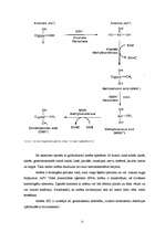 Referāts 'Arsēns, kadmijs un svins gaisā', 12.