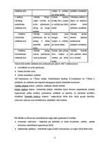 Referāts 'A/s "X" vadīšana', 13.