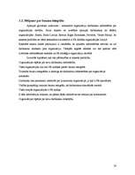 Referāts 'Runātais un rakstītais vārds', 28.