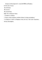 Konspekts 'Konstitūciju veidi pasaulē', 3.