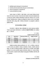 Referāts 'A/s „Latvijas balzams” finanšu analīze', 13.