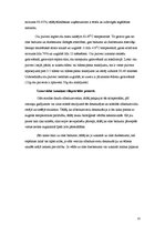 Referāts 'Olu ēdieni', 13.