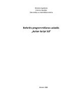 Referāts 'ActionScript programmēšanas valoda', 1.