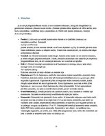 Referāts 'ActionScript programmēšanas valoda', 10.