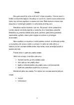 Referāts 'Roku protēzes', 4.