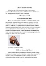 Referāts 'Roku protēzes', 5.