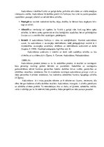 Eseja 'Audzināšanas saturs', 2.