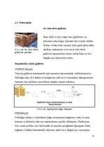 Diplomdarbs 'Būvuzņēmuma plānošana', 28.