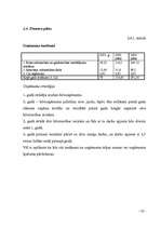 Diplomdarbs 'Būvuzņēmuma plānošana', 30.