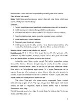 Paraugs 'Rotaļnodarbība ar runas dominanti', 3.