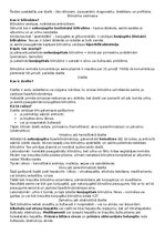 Prezentācija 'Dzelte', 16.