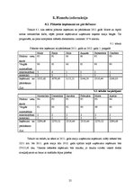 Biznesa plāns 'Autostāvvietas izveide', 25.