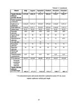 Biznesa plāns 'Autostāvvietas izveide', 29.